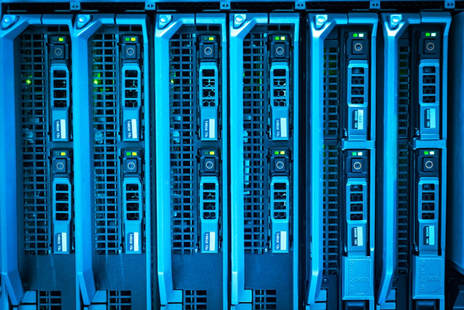 How to Choose the Right Web Host for Your Small Business